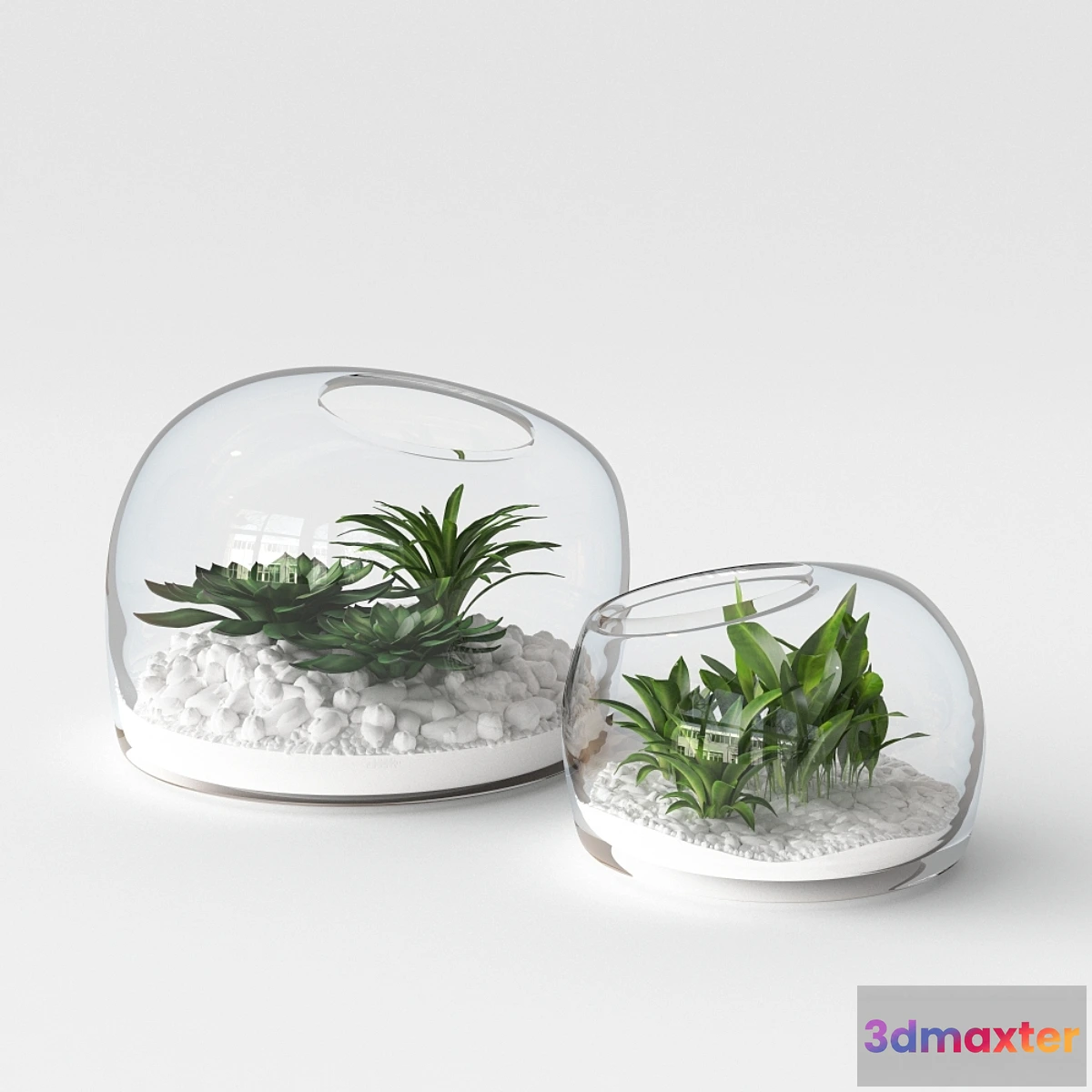 1297779 - Organic Form Terrariums 3D Max