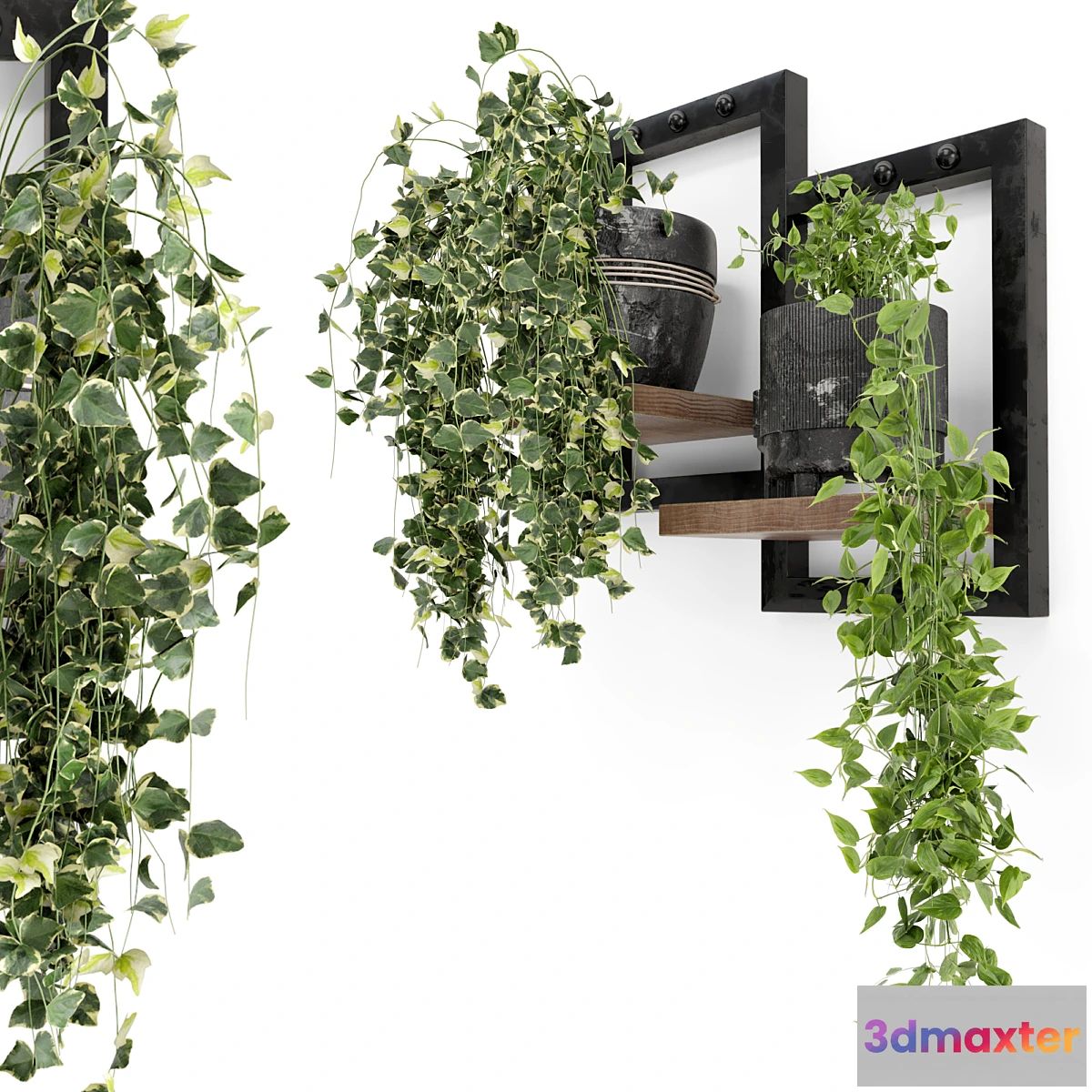 1297803 - Indoor Plants in rusty Concrete Pot - Set 150 3D Max
