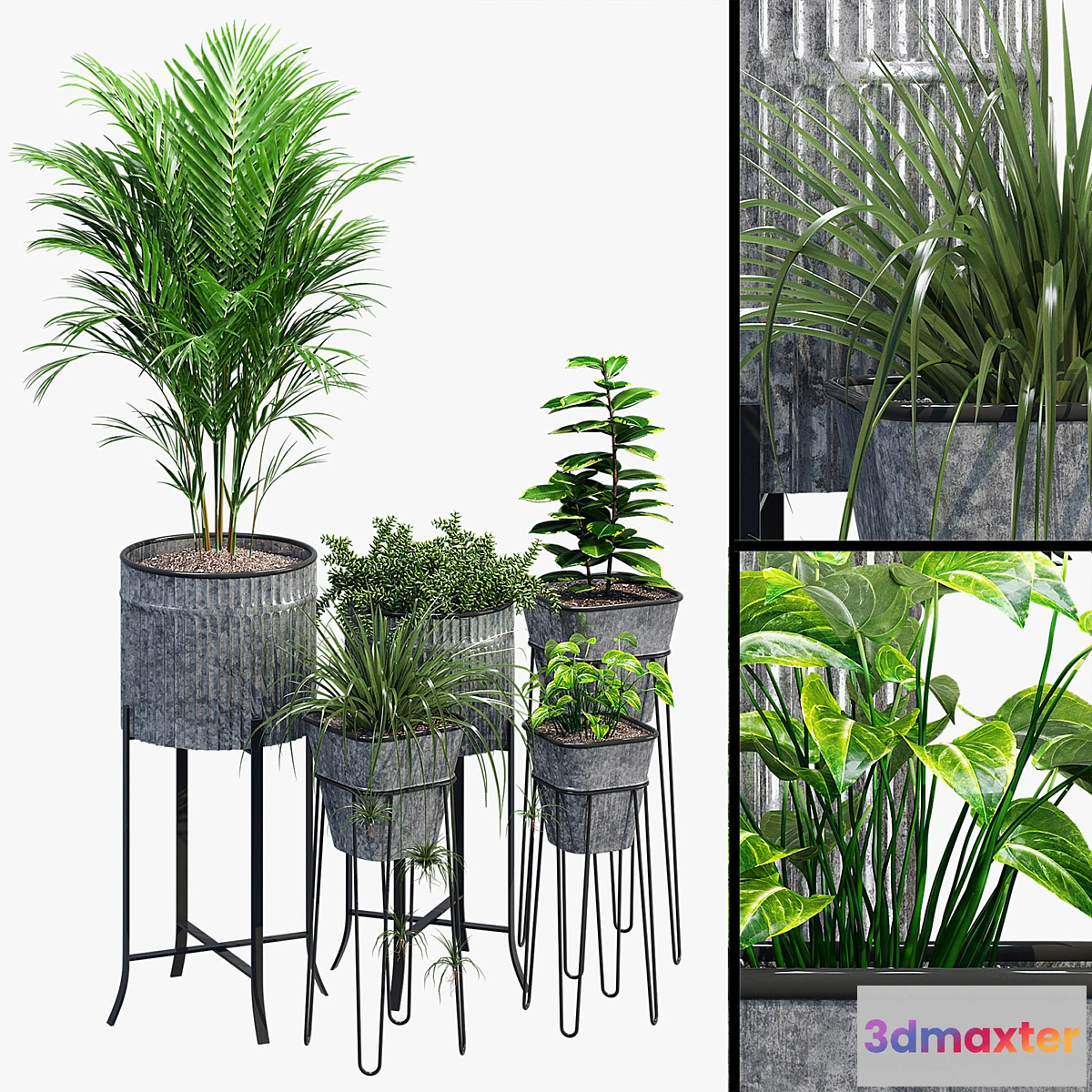 1297837 - Verville brunelle 3D Max