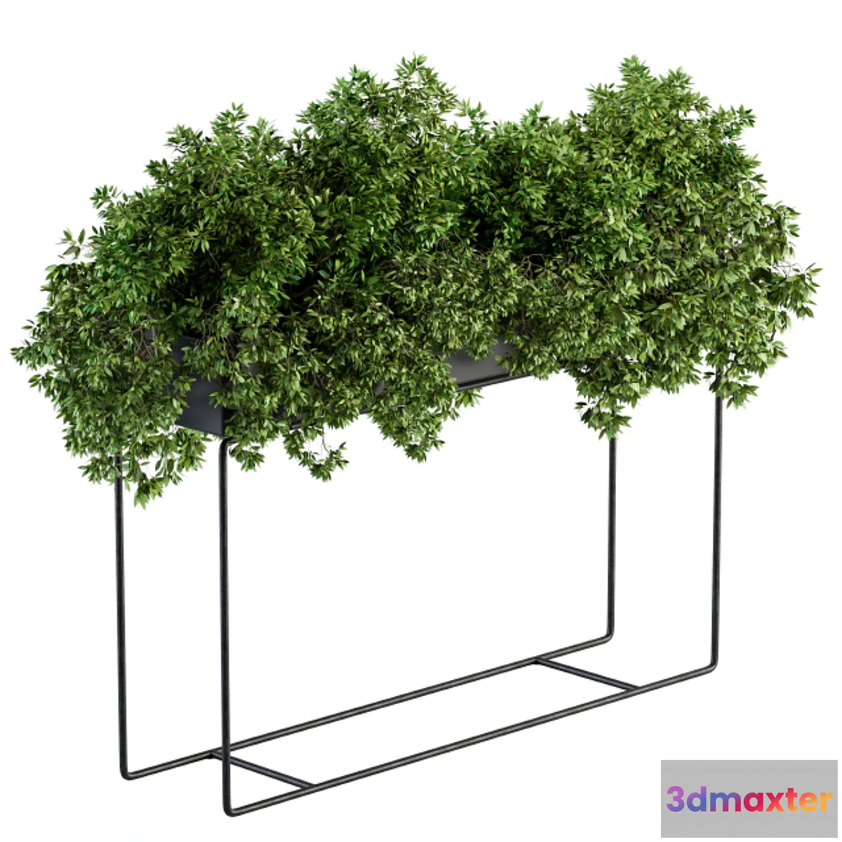 1298499 - Black Box Plants on stand - Set 80 3D Max