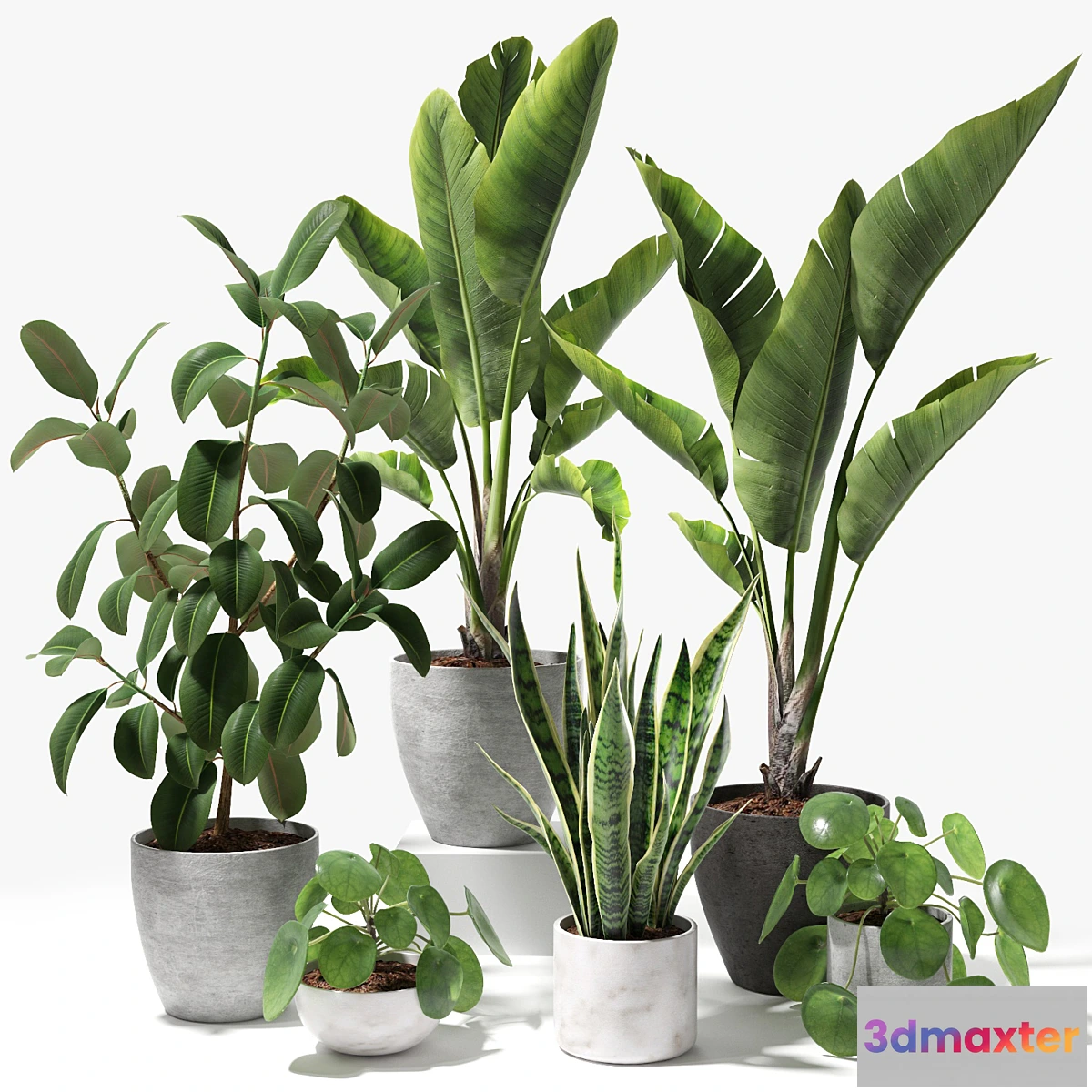 1299117 - Set of plants 09 3D Max