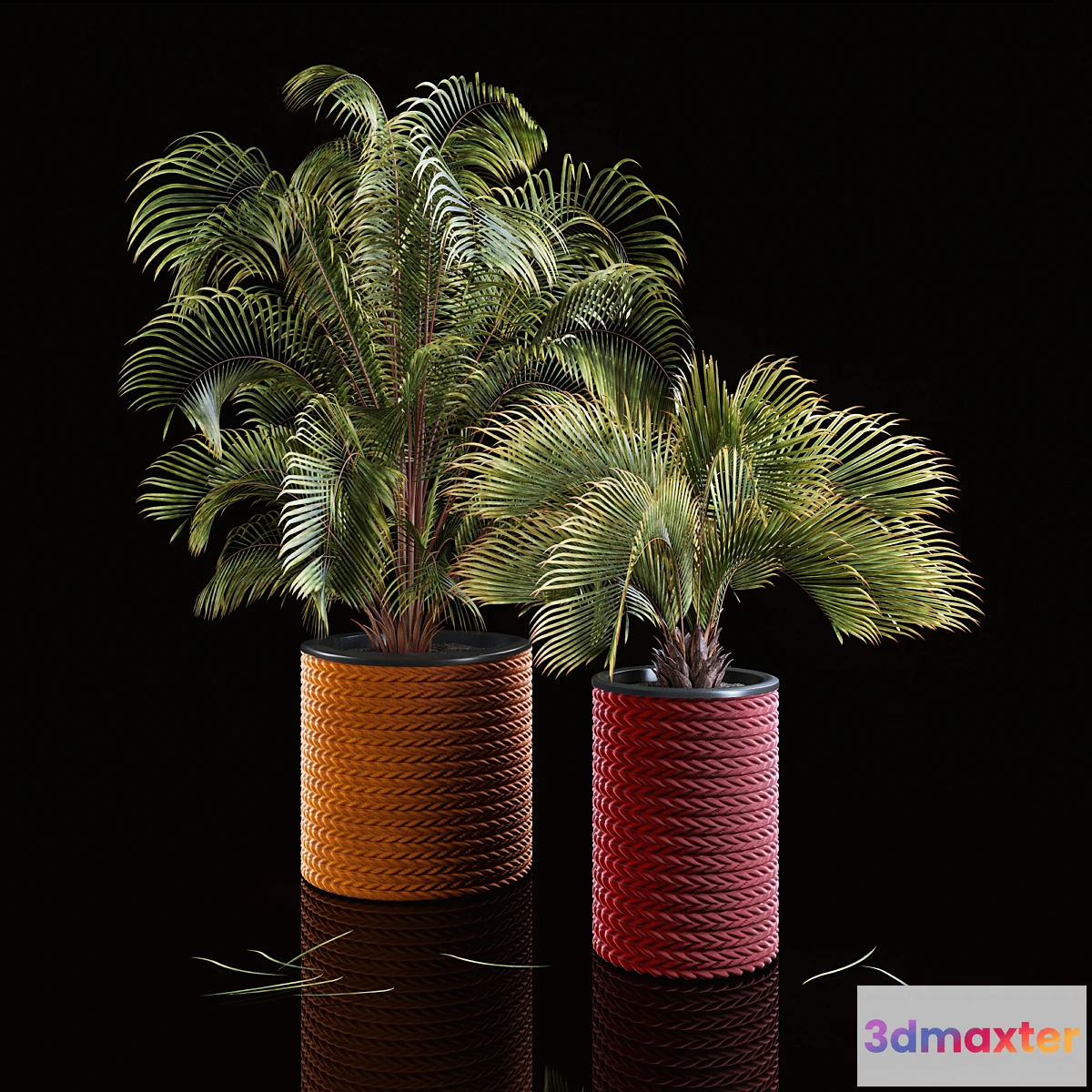 1299568 - Palms 3D Max