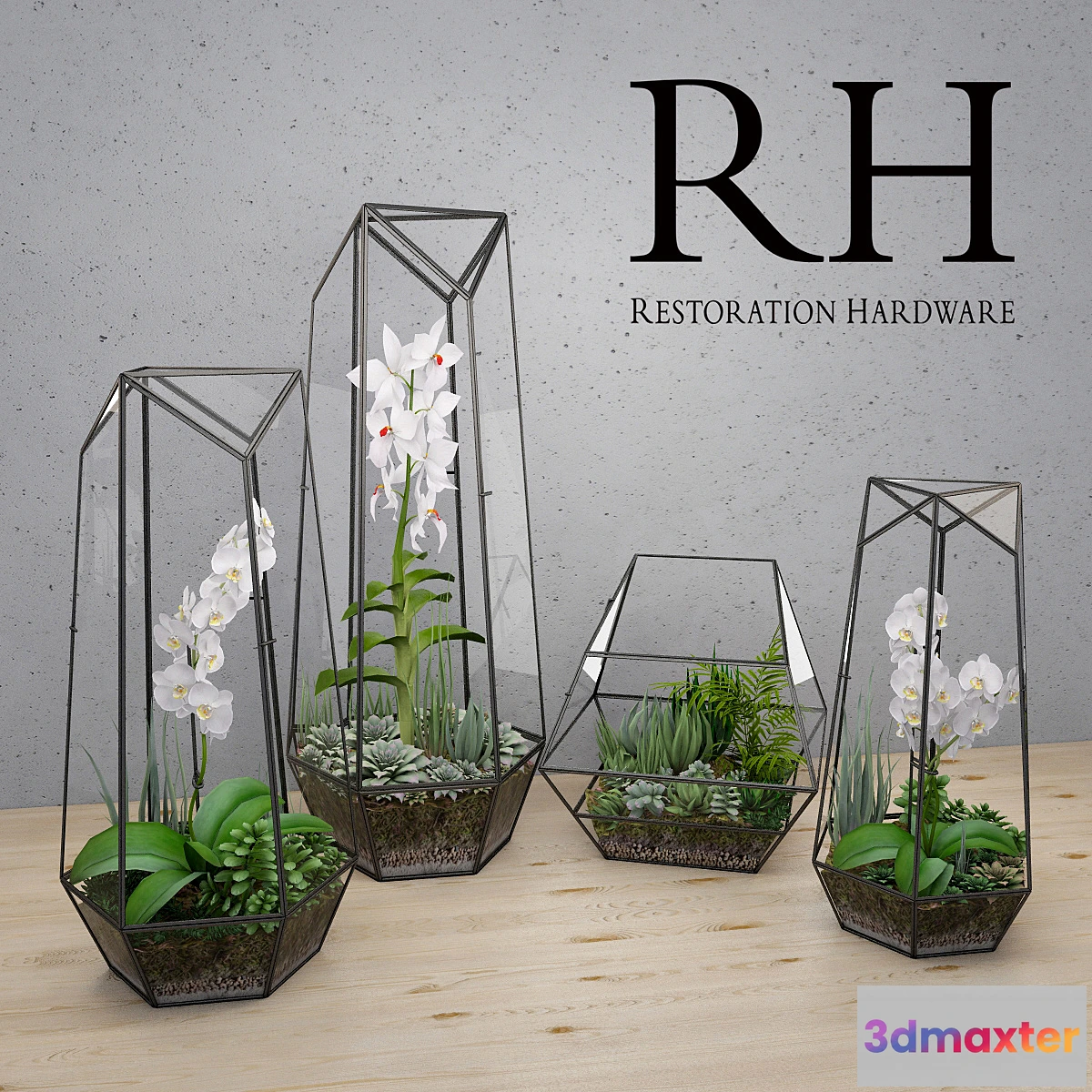 1299628 - RH FACETED GLASS TERRARIUM 3D Max