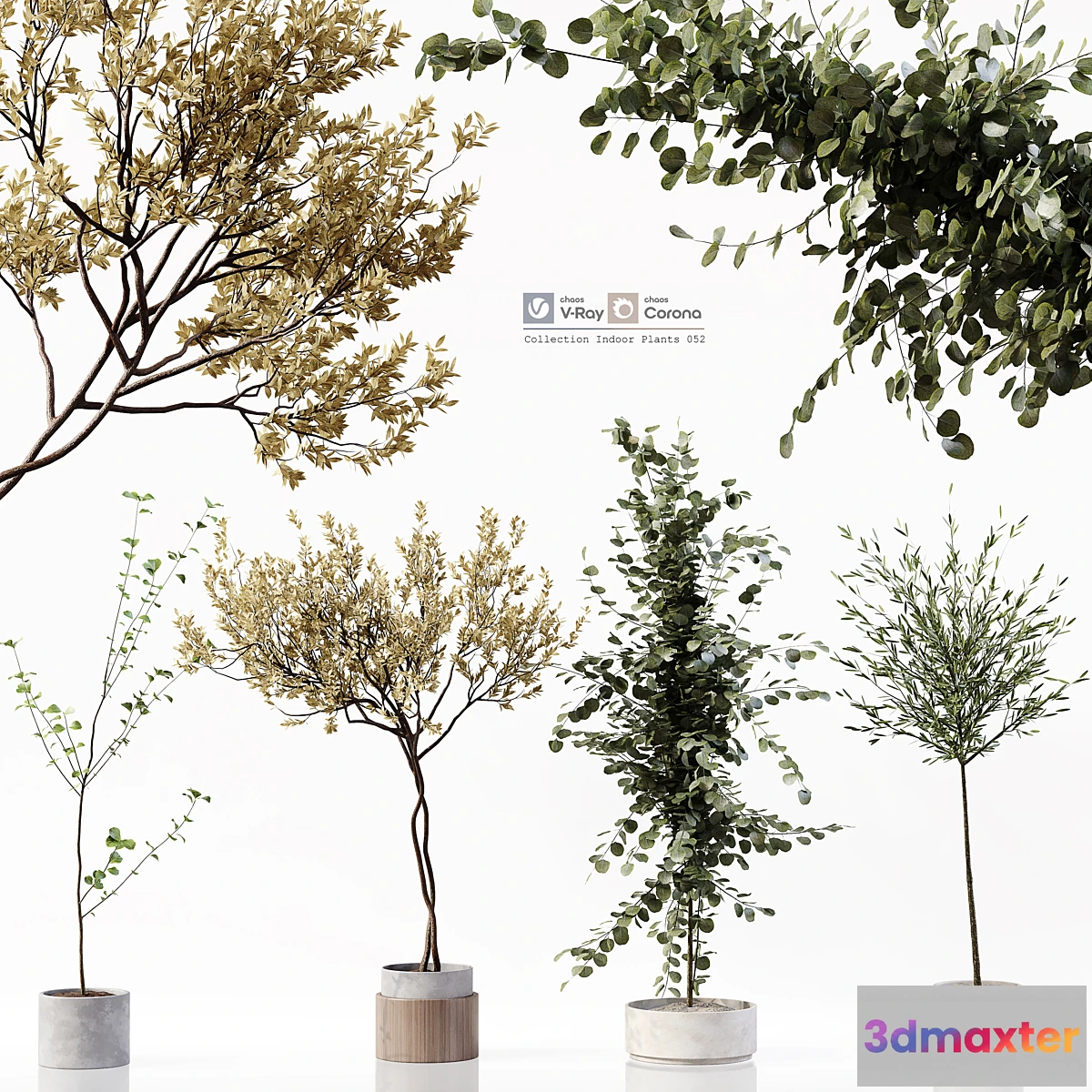 1300064 - Collection Indoor Plants 052 - No.2 3D Max