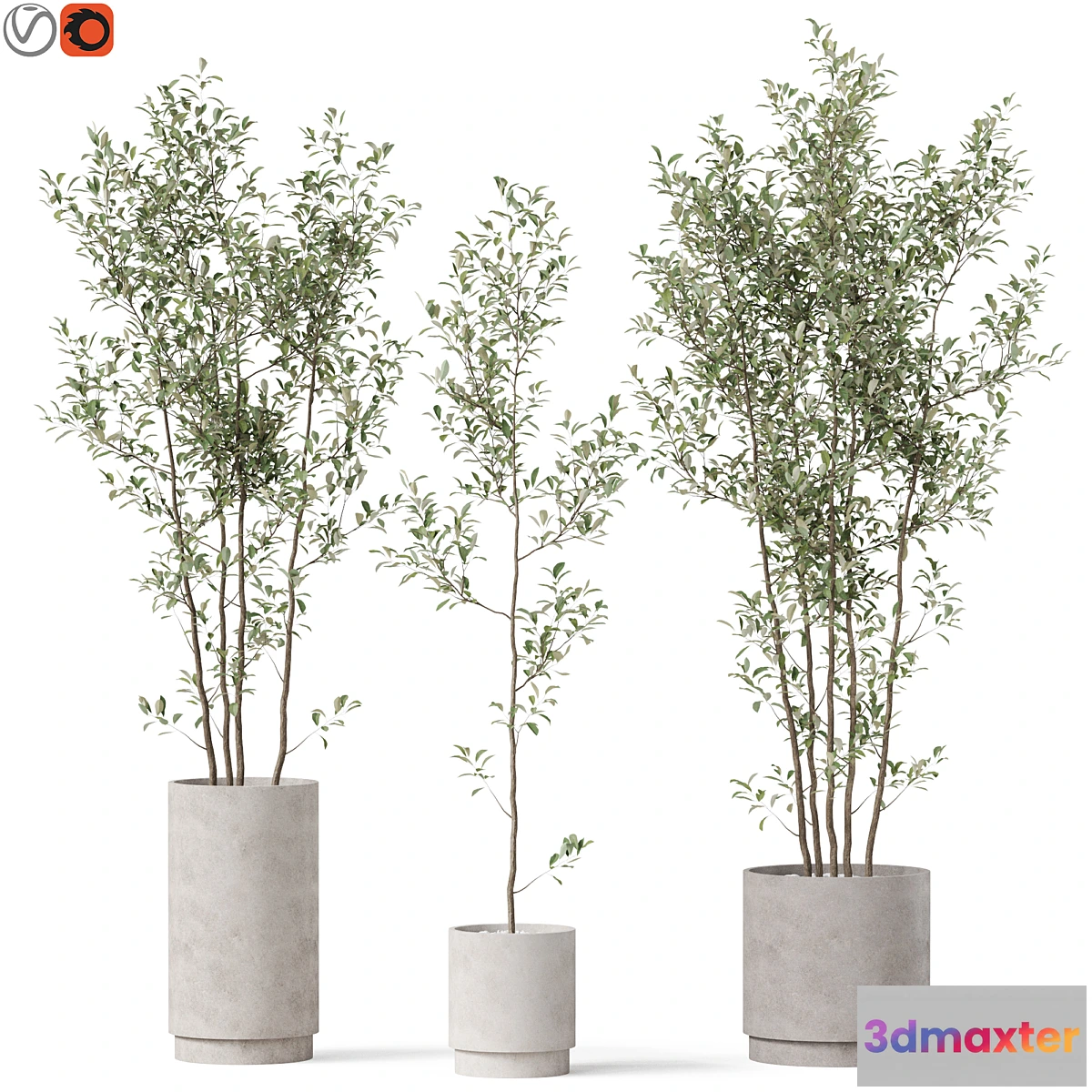 1301831 - Plants collection 901 3D Max