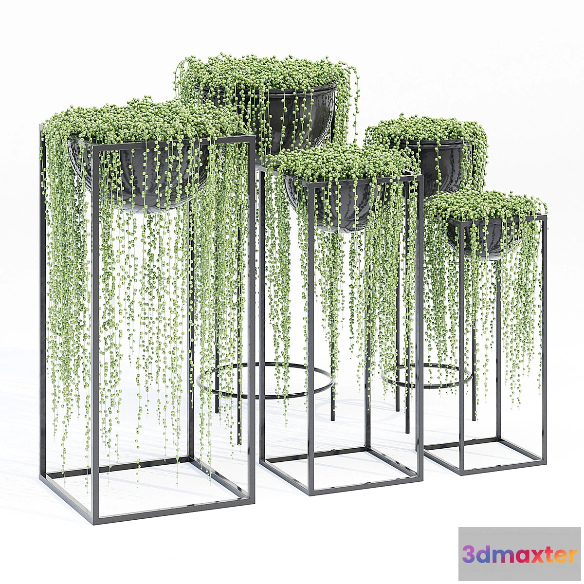 1302502 - Matson tiara 3D Max