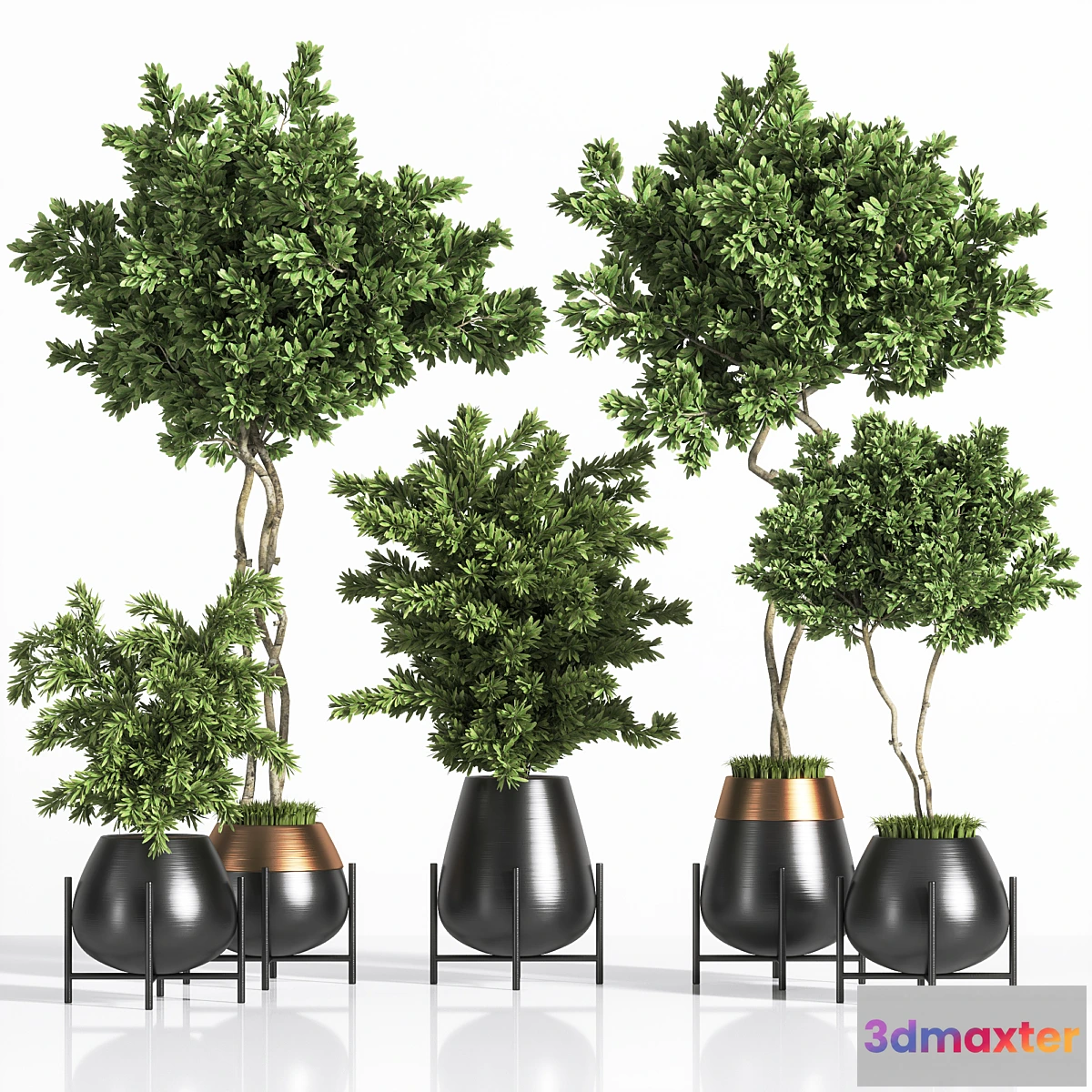 1303283 - indoor plant set 01 - No.3 3D Max