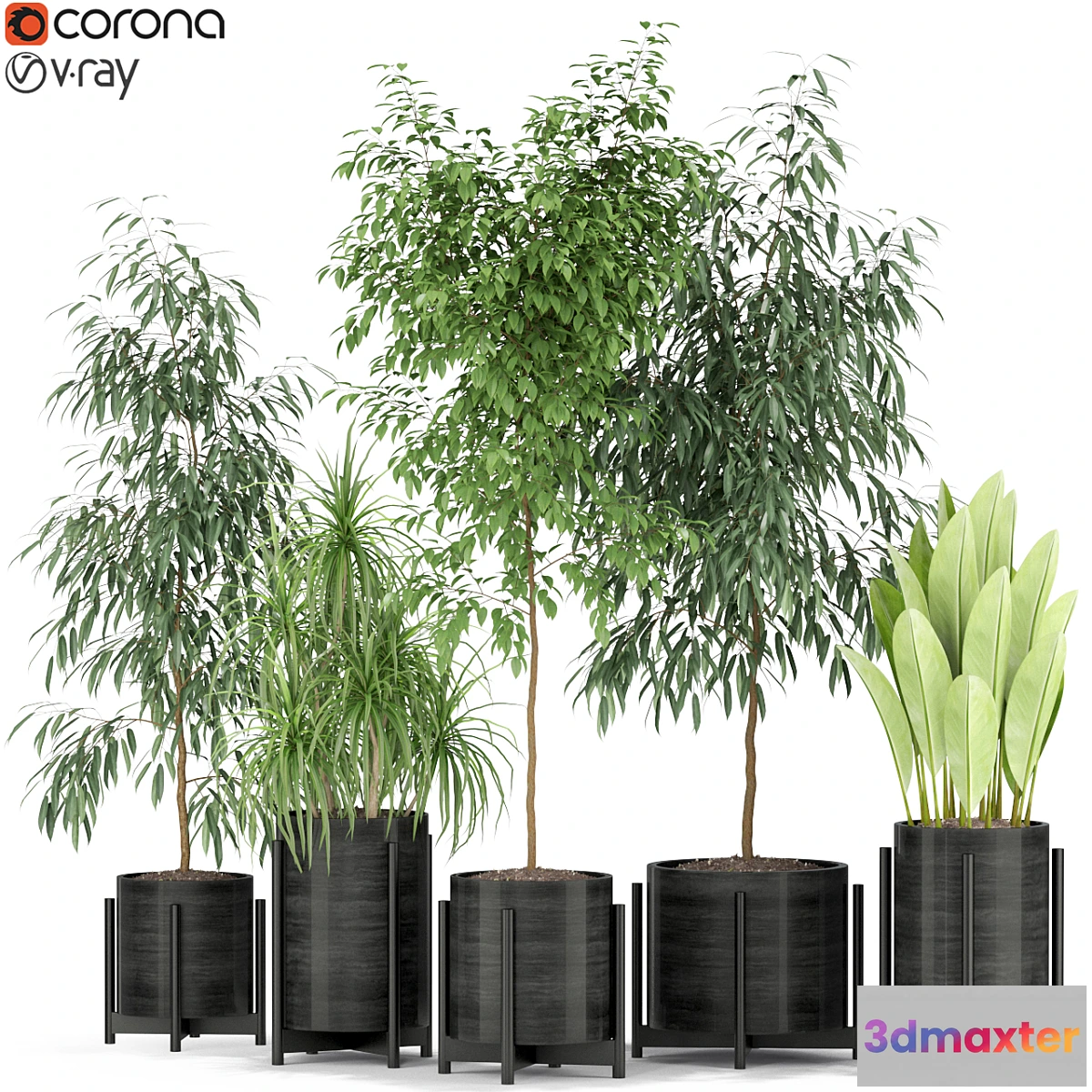 1303840 - Plants collection 345 3D Max