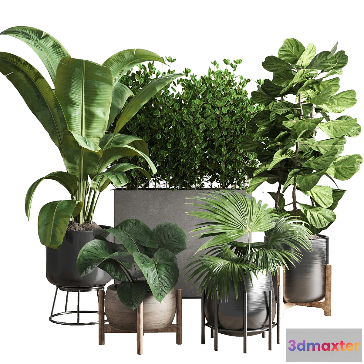 1303848 - collection Indoor plant 43 vase 3D Max