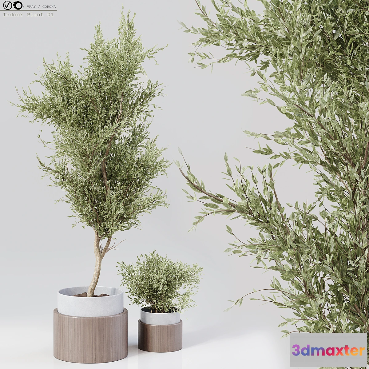 1304531 - Indoor Plant 01 3D Max