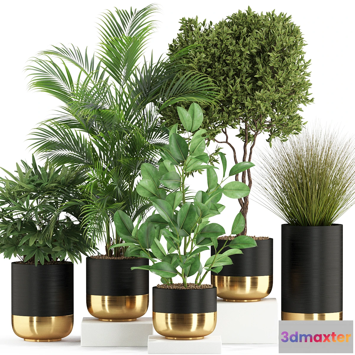 1306532 - Plants collection 540 3D Max