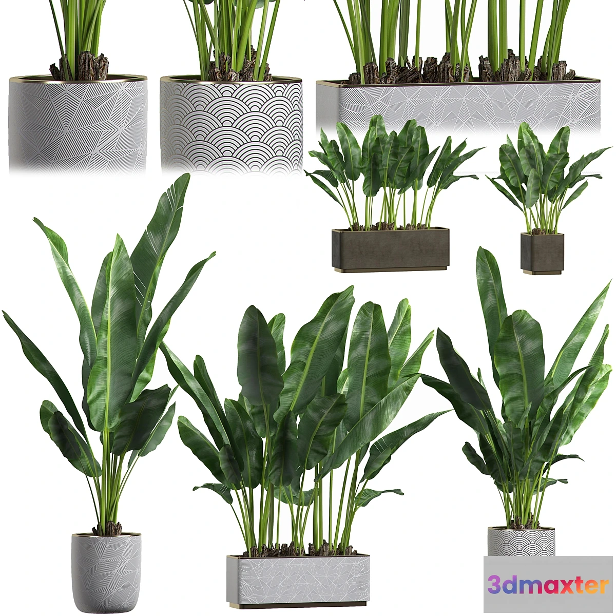 1308025 - INTERIOR FLOWER PACK 1 3D Max