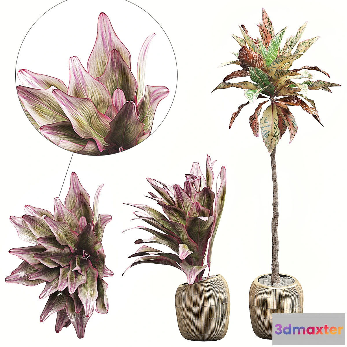 1308209 - INTERIOR FLOWER PACK 34 3D Max