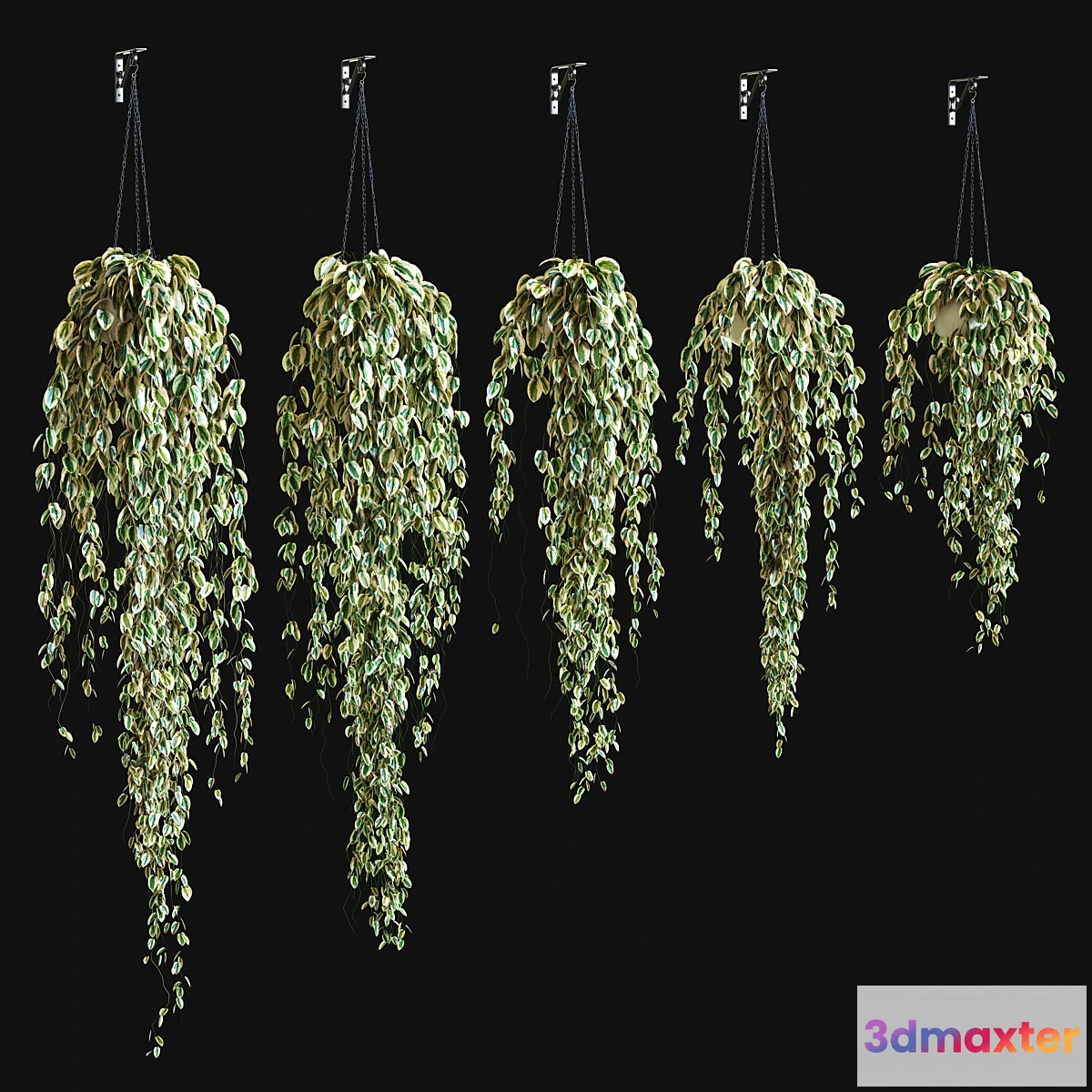 1309346 - Potted plant on a chain 3D Max