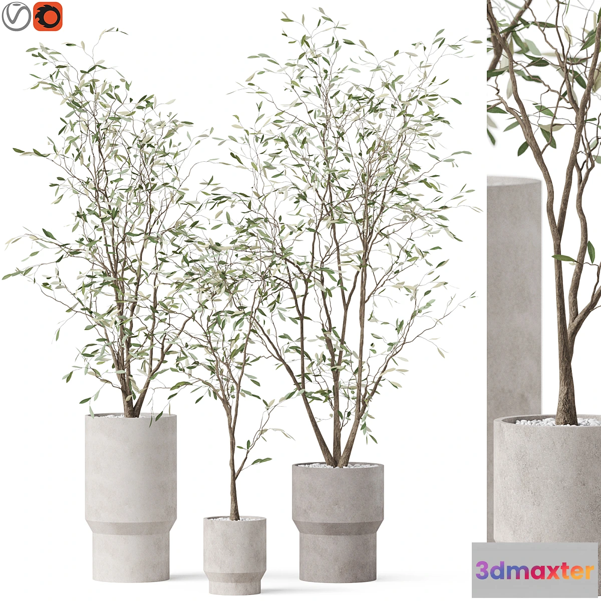 1309824 - Plants collection 900 3D Max