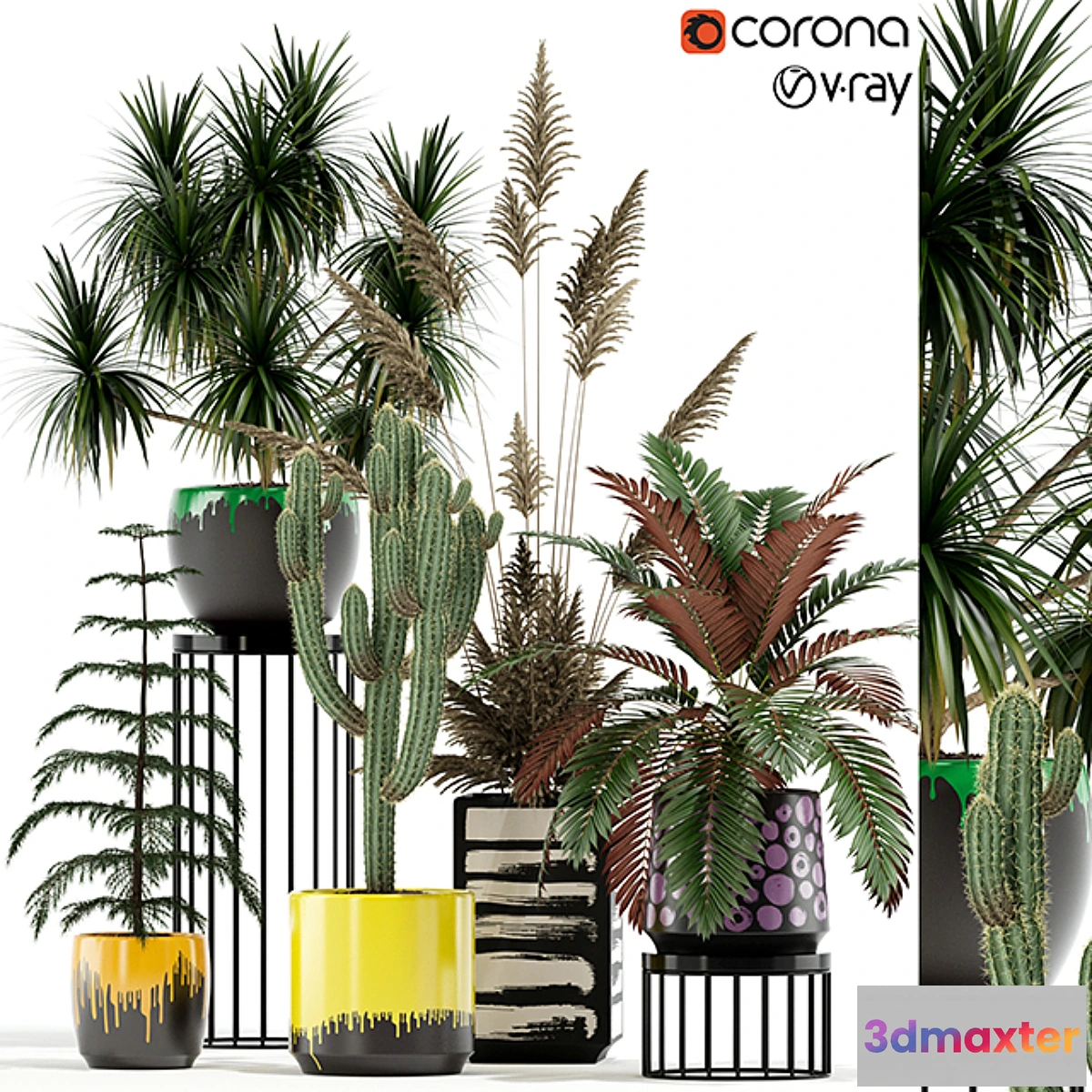 1312264 - Plants collection 139 3D Max