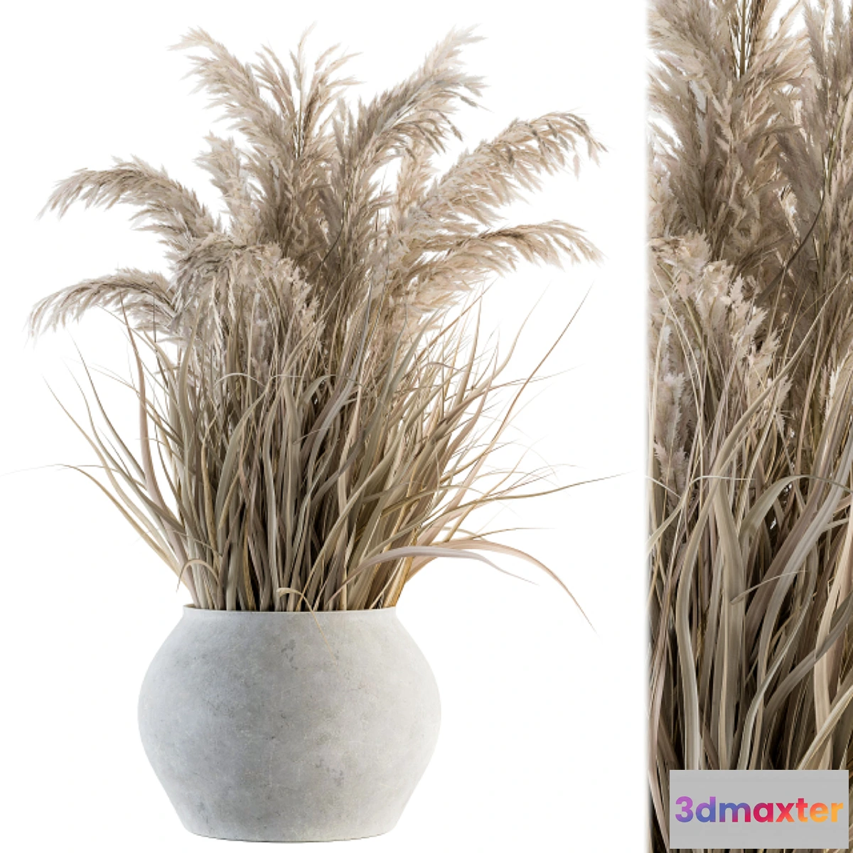 1313274 - indoor Plant Set 115 - Dried Plant 3D Max