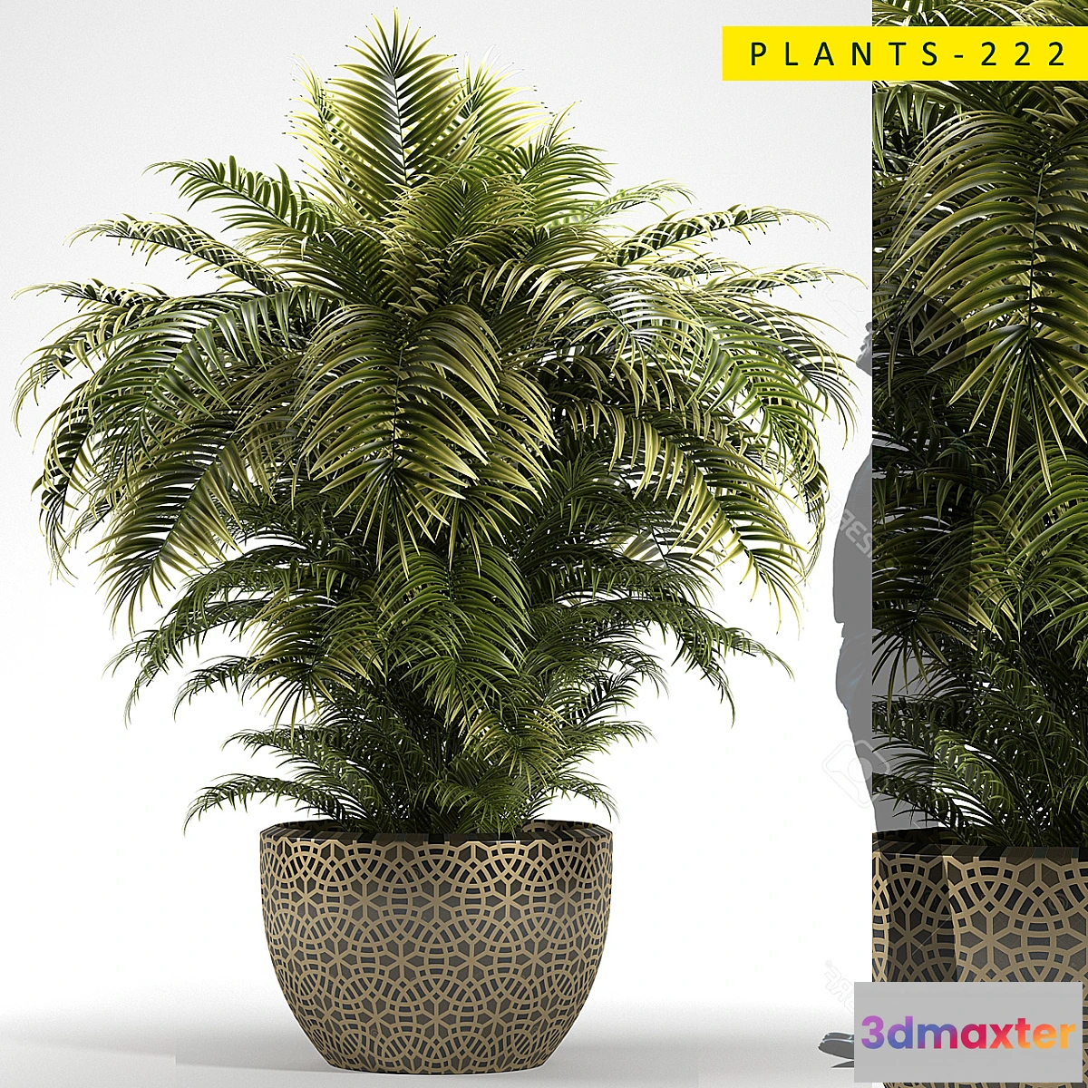 1314300 - PLANTS 222 3D Max