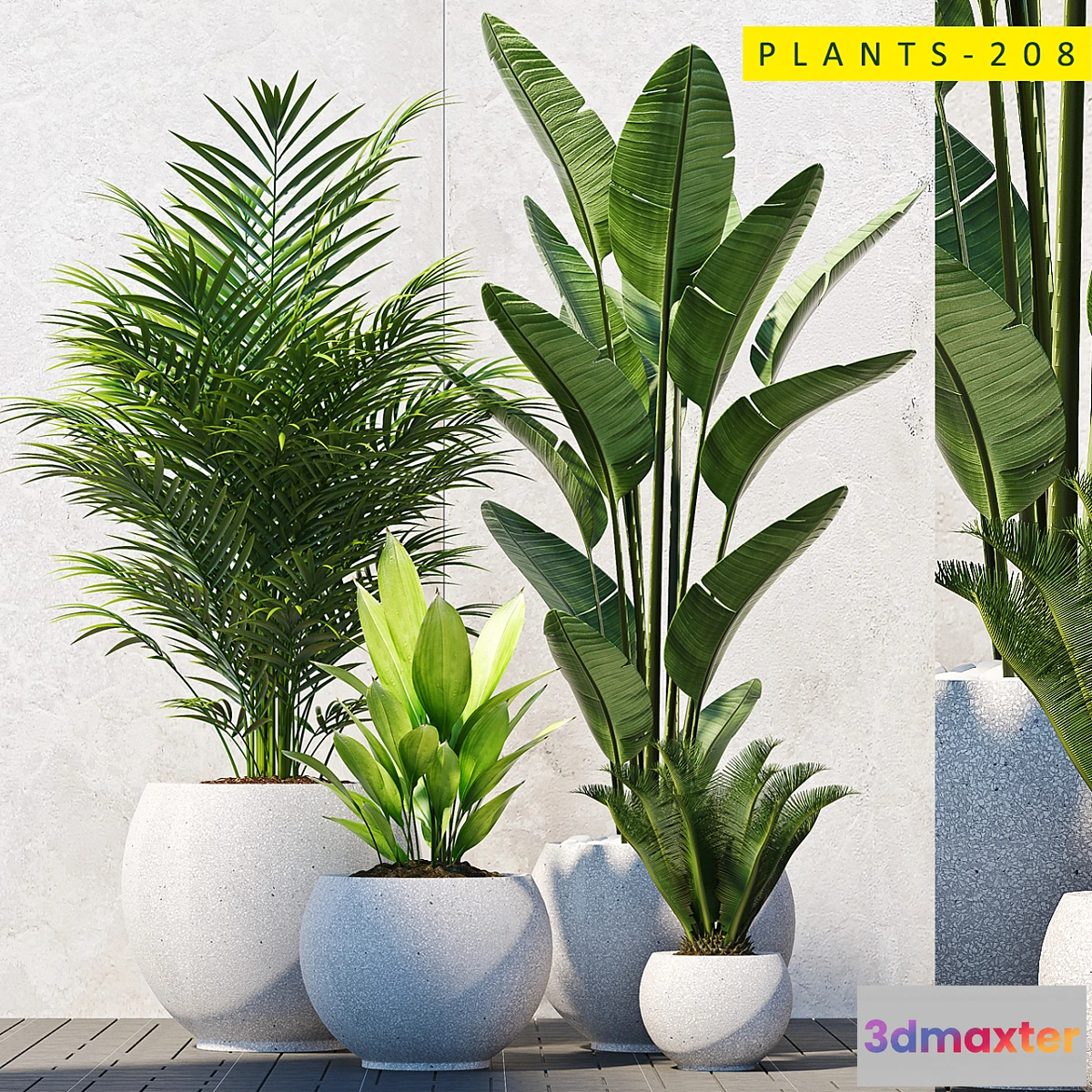 1314724 - plants 208 3D Max