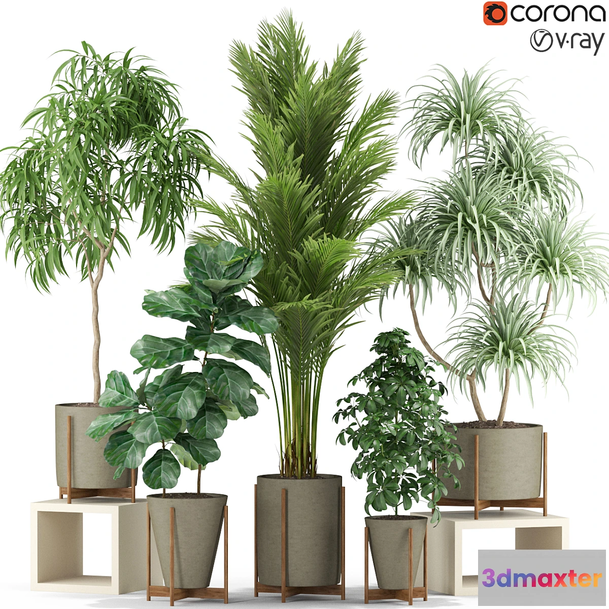 1314939 - Plants collection 343 3D Max