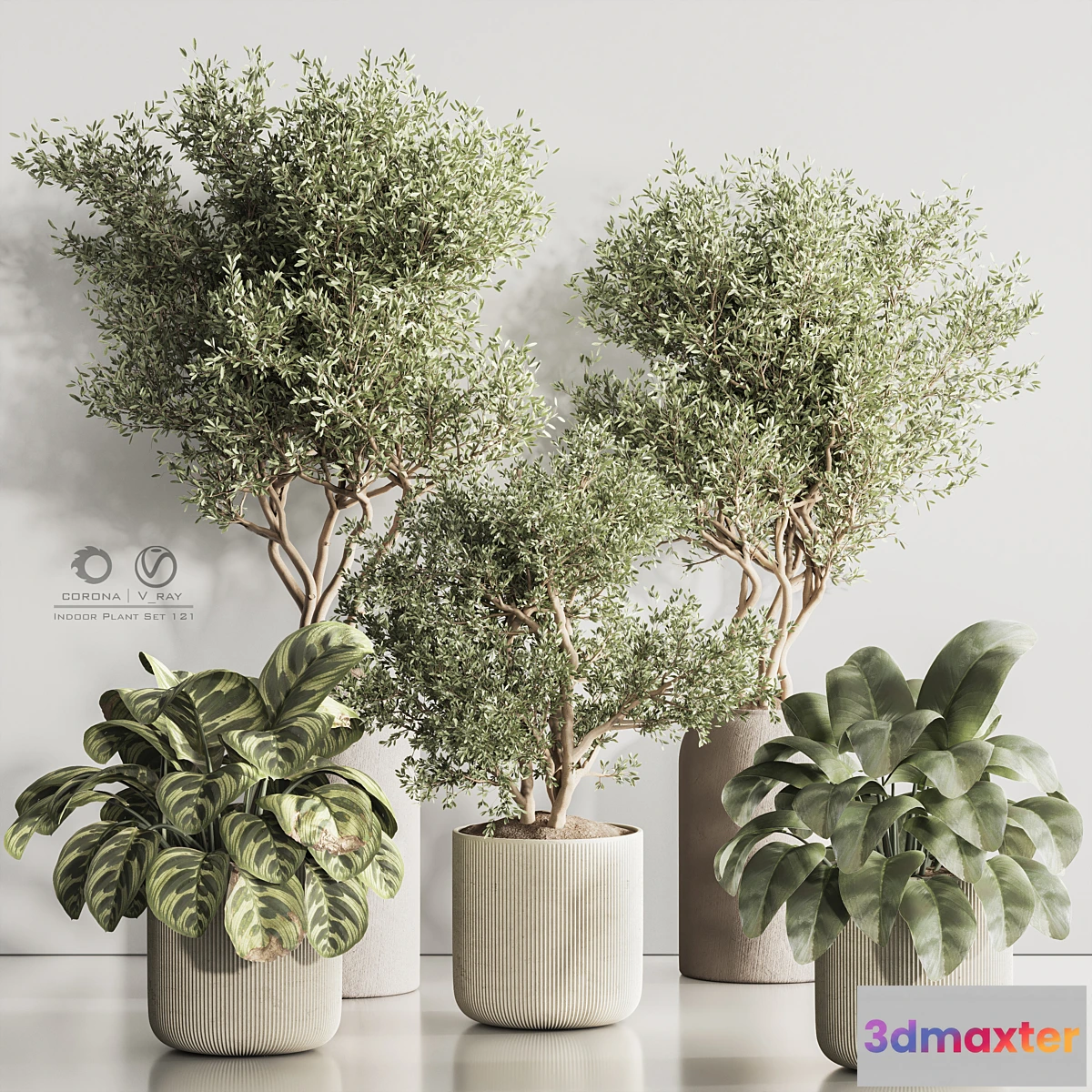 1315192 - Indoor Plant Set 121 3D Max