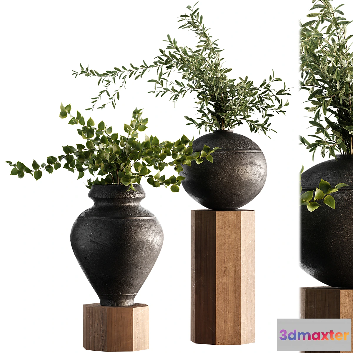 1315880 - Indoor Plant Set 65 3D Max