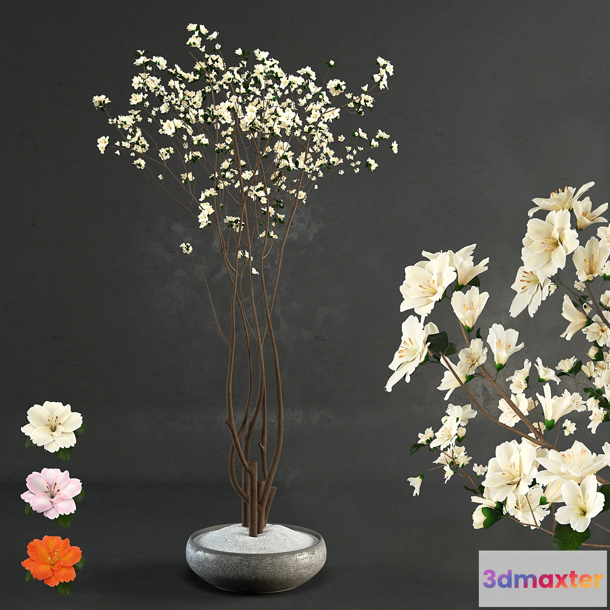 1315929 - Decorative wood 3D Max