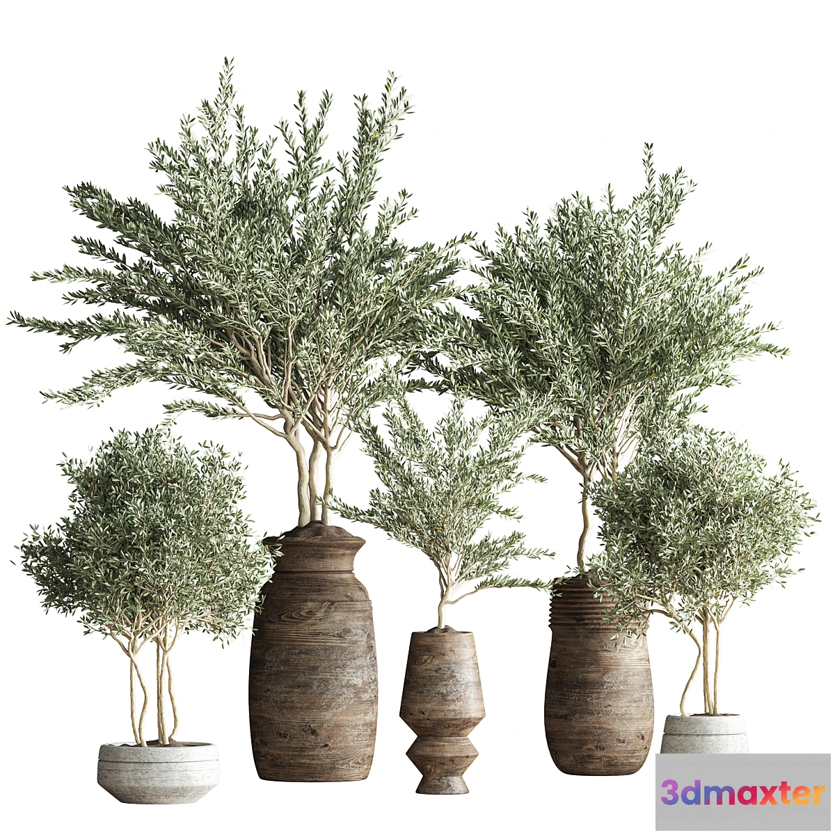 1316773 - indoor plant set 23 - No.4 3D Max