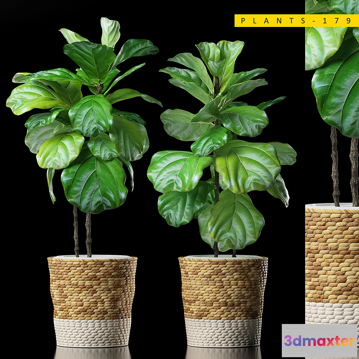 1316941 - PLANTS 178 3D Max