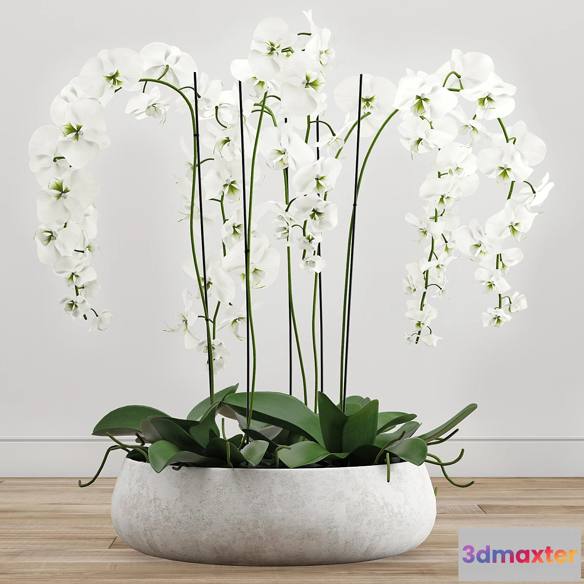 1317221 - Orchid arrangement 2 3D Max