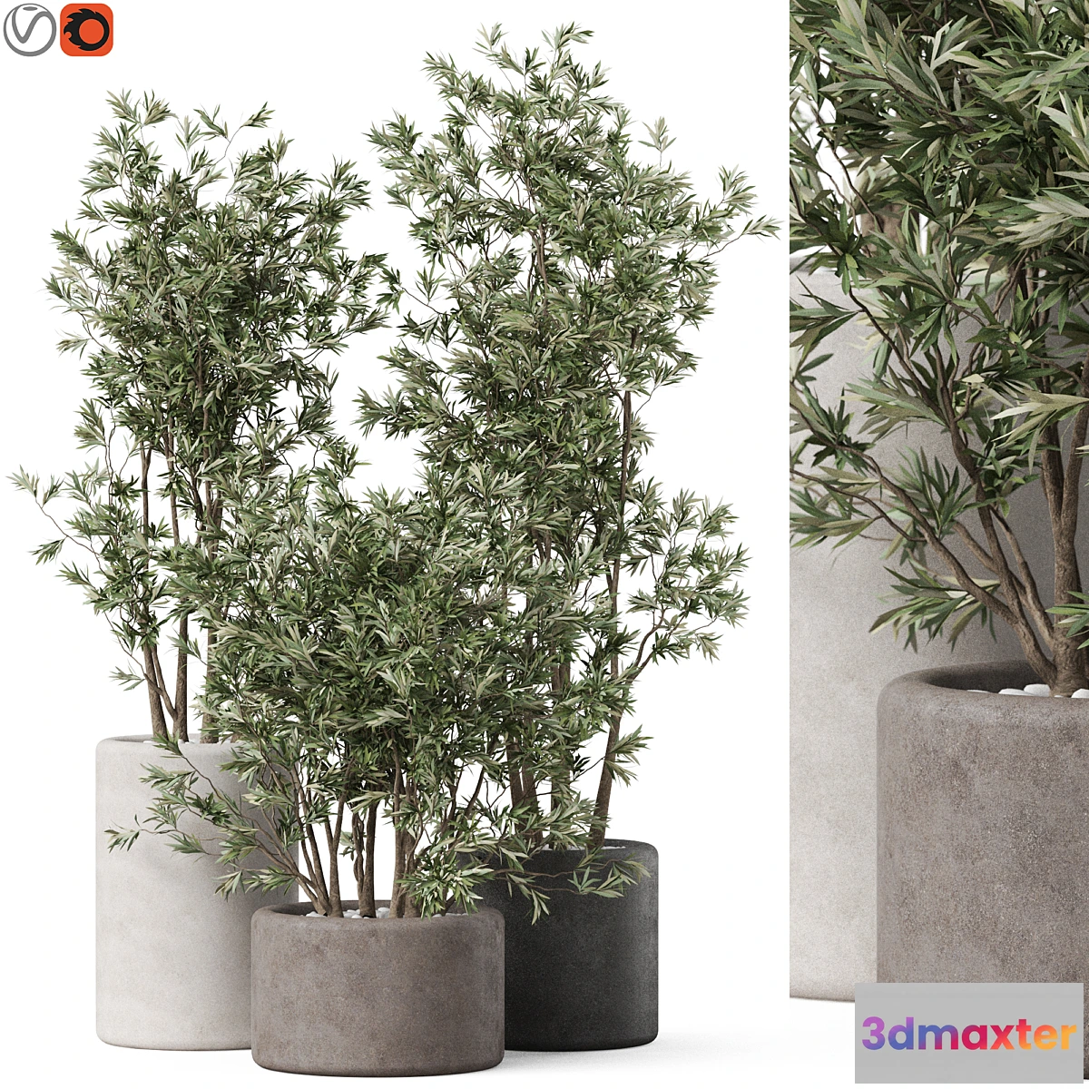 1318109 - Plants collection 893 3D Max