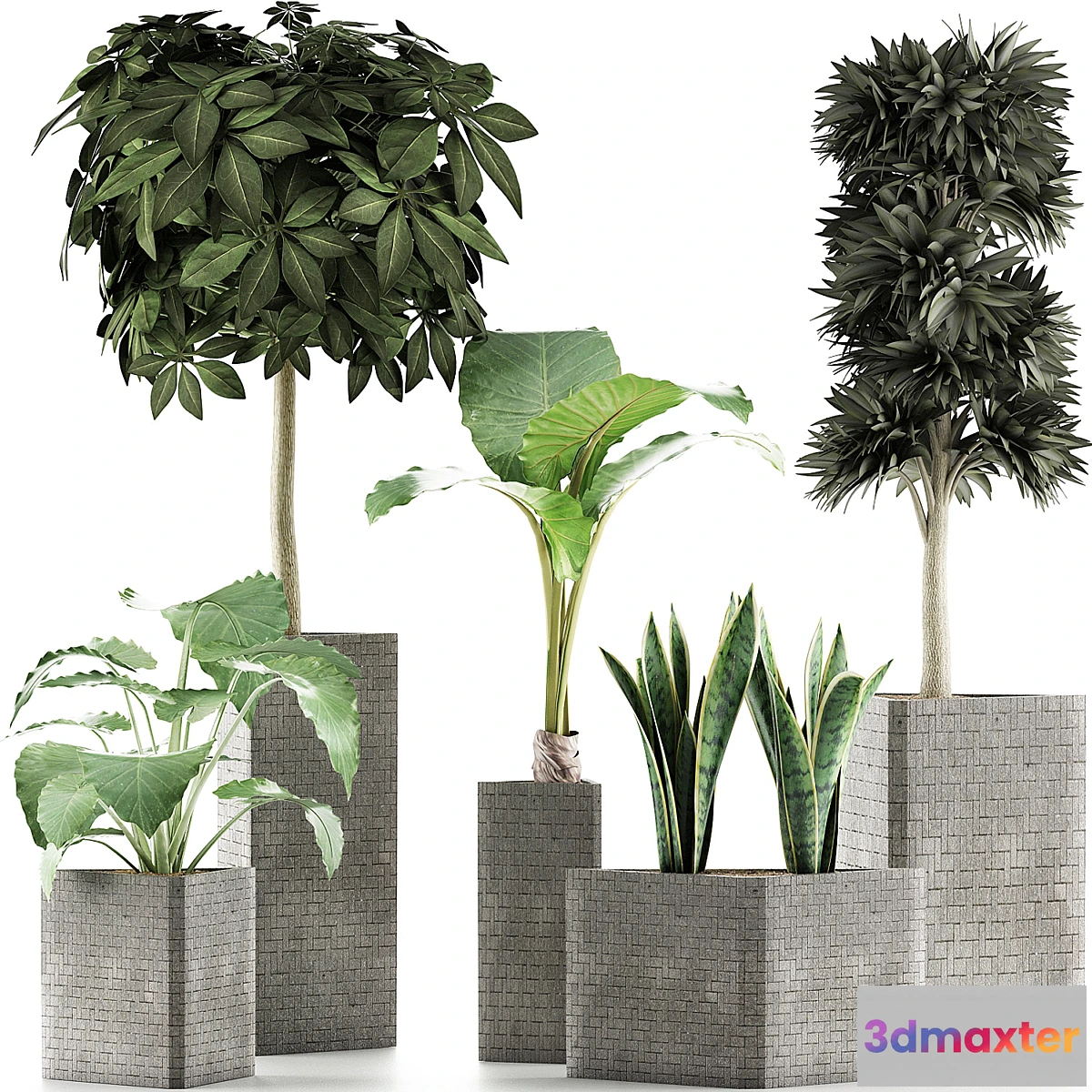 1318288 - Plants Collection 39 3D Max