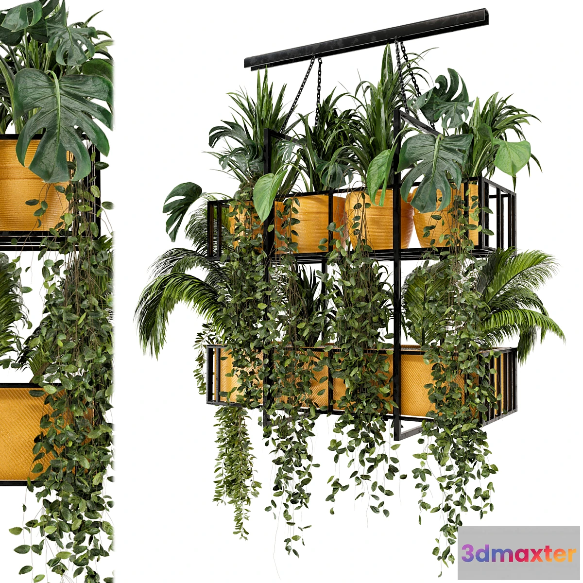 1320962 - Indoor Hanging Plants in Metal Box - Set 103 3D Max