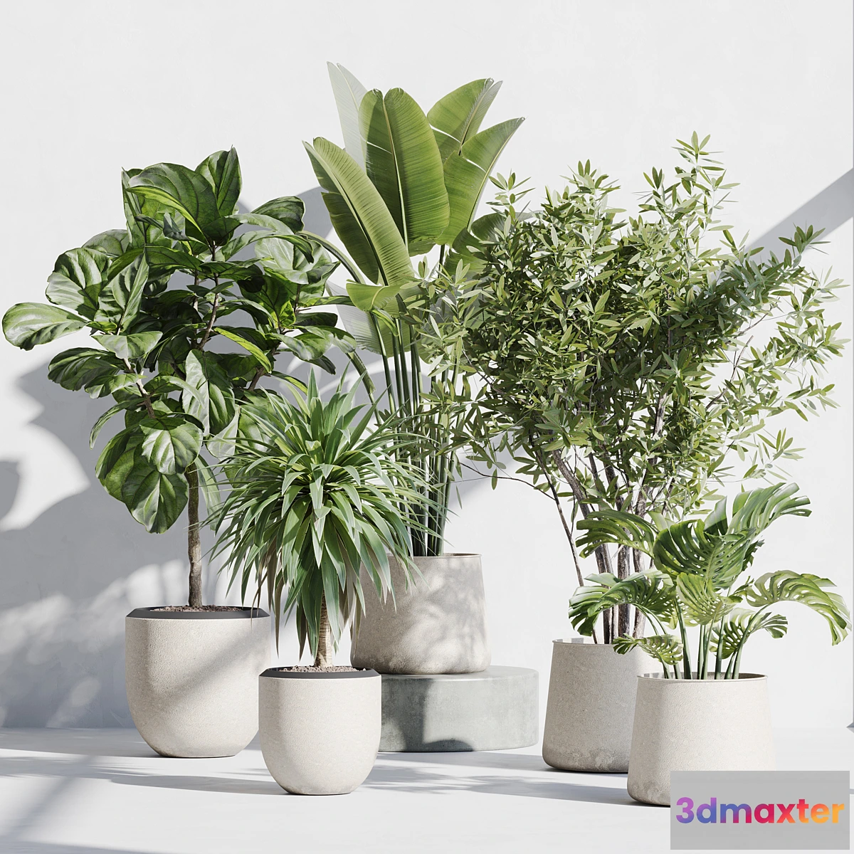 1321247 - indoor plant set 66 3D Max