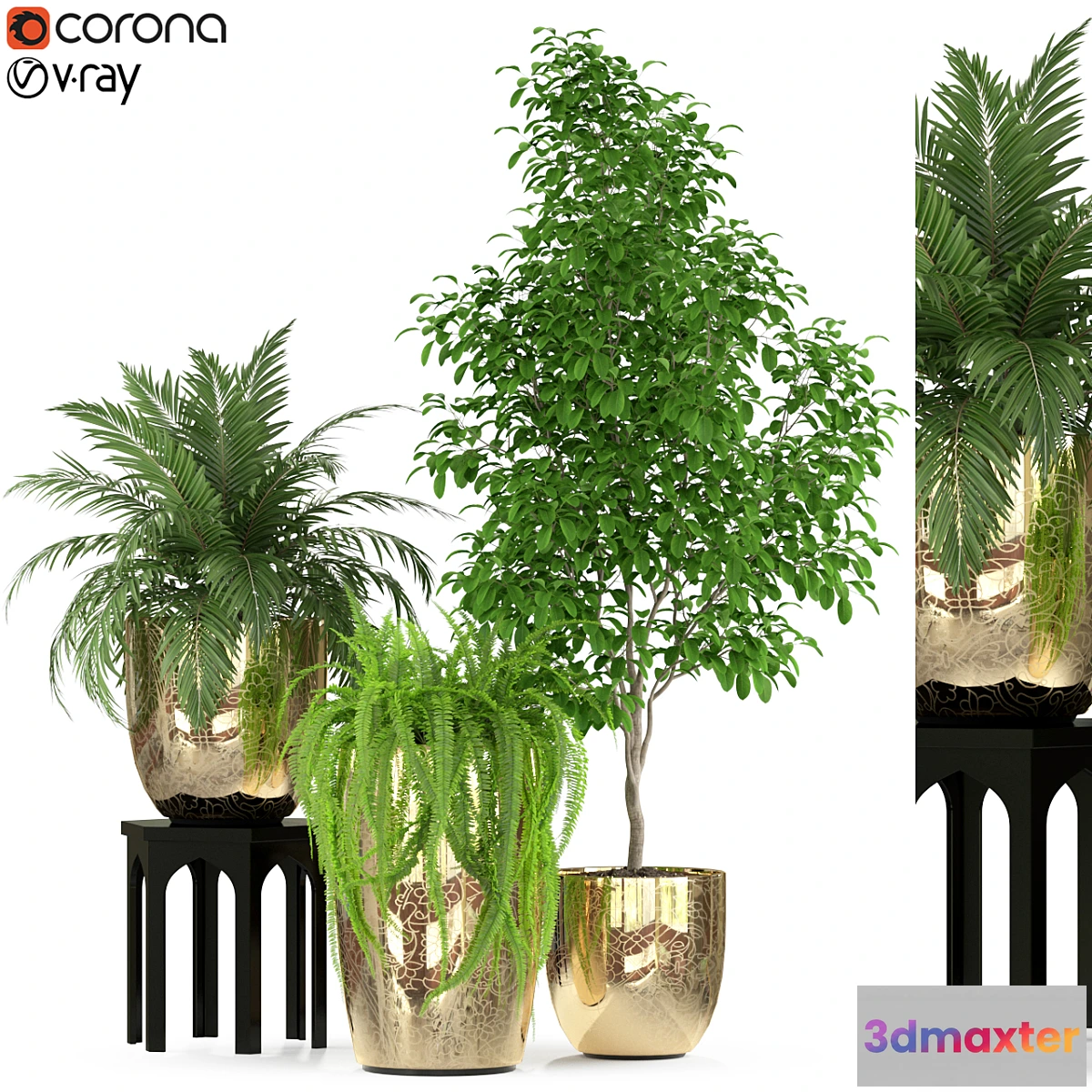 1322315 - Plants collection 235 3D Max