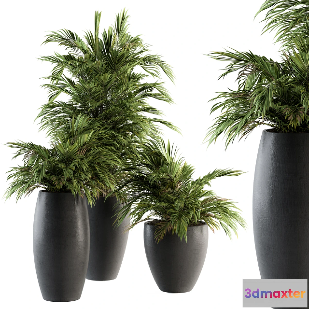 1322426 - Indoor Plant Set 88 - Tropical 3D Max