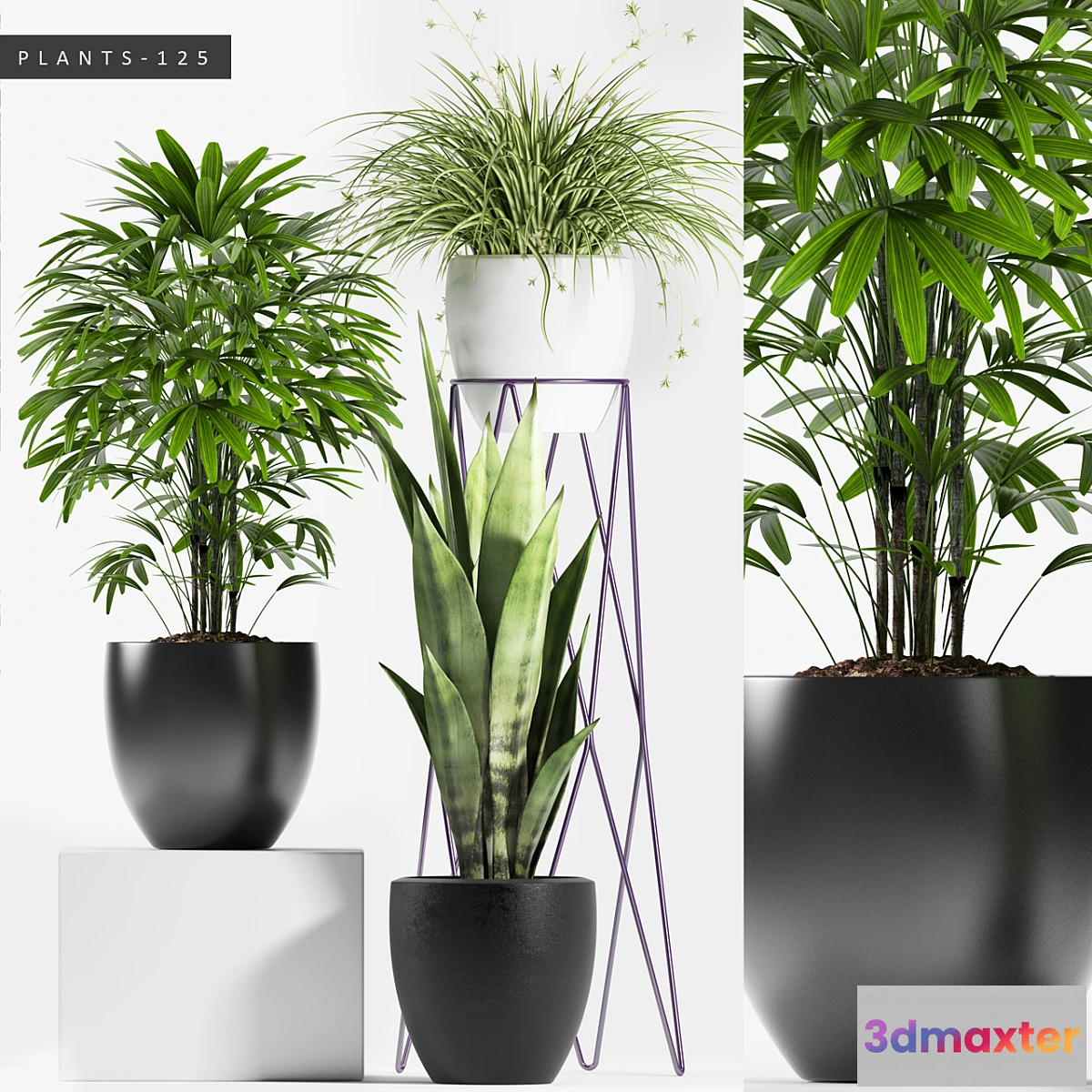 1322870 - PLANTS 125 3D Max