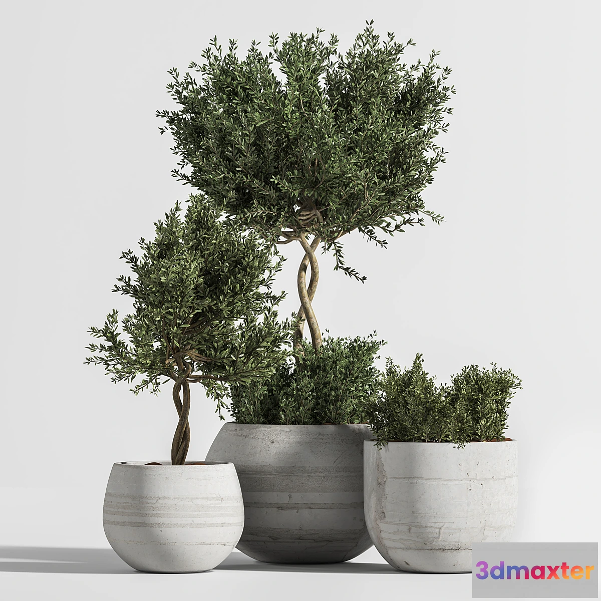 1322885 - Plant Indoor with Concrete Leaf 3D Max