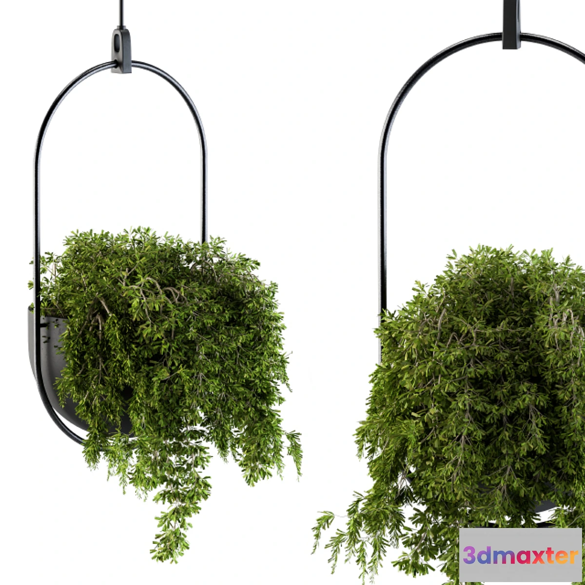 1323150 - Hanging box plant - Set 83 3D Max