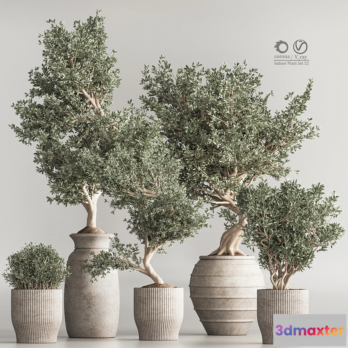 1323214 - Indoor Plant Set 53 3D Max