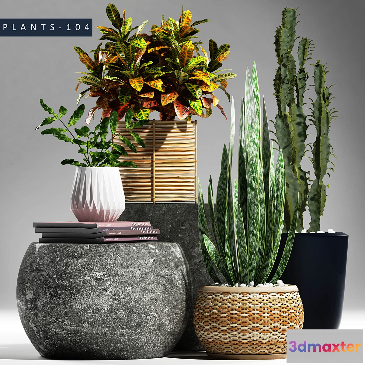 1323576 - PLANTS 104 3D Max