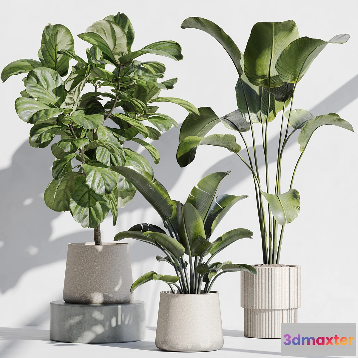 1324082 - indoor plant set 67 3D Max