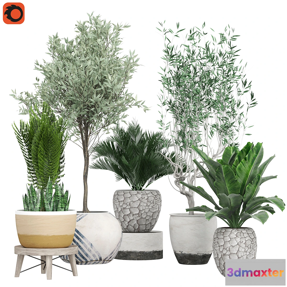 1324571 - Flower Pack 171C 3D Max