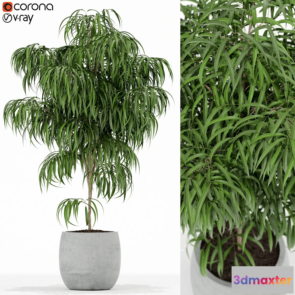 1324729 - Plants collection 154 3D Max