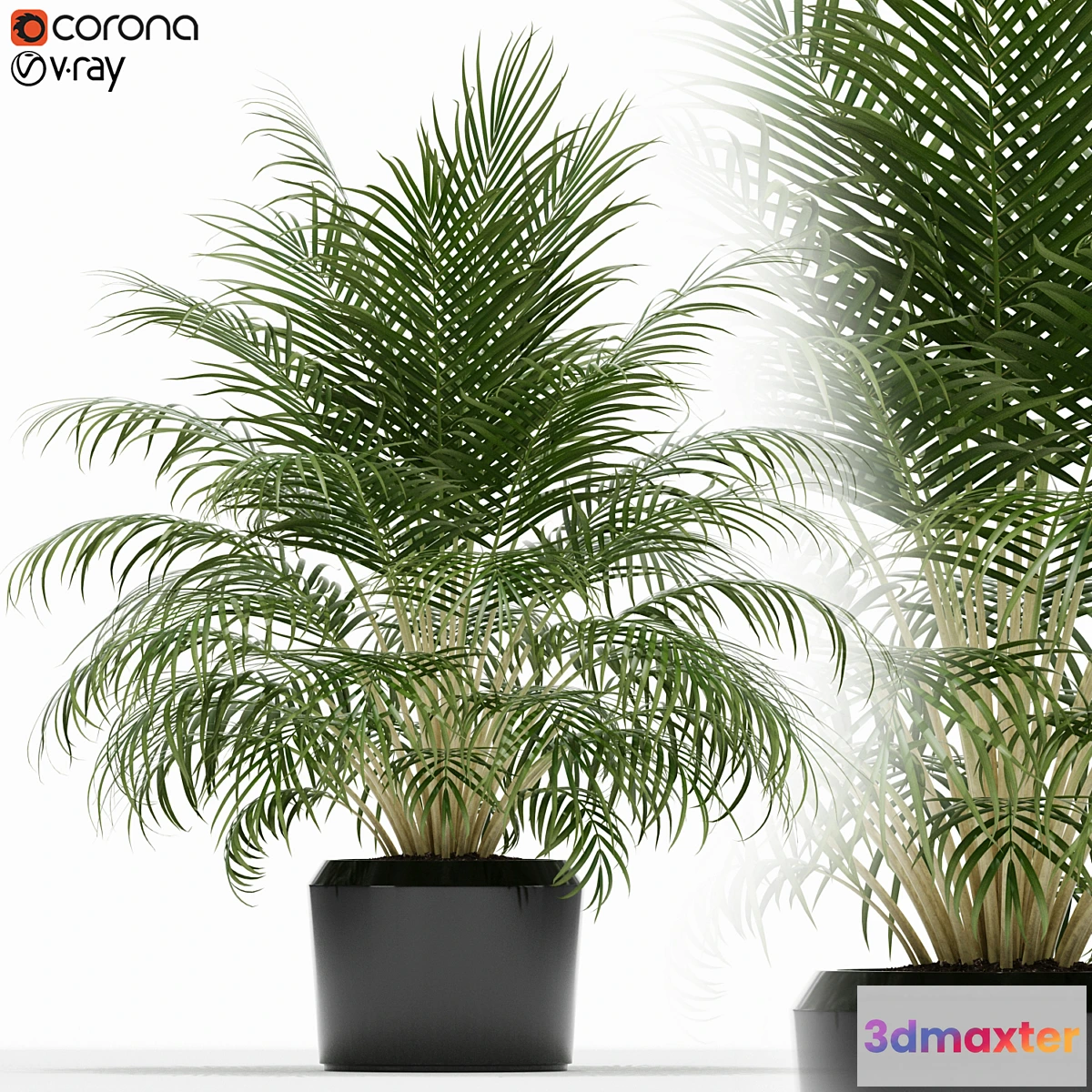 1324841 - Plants collection 149 3D Max