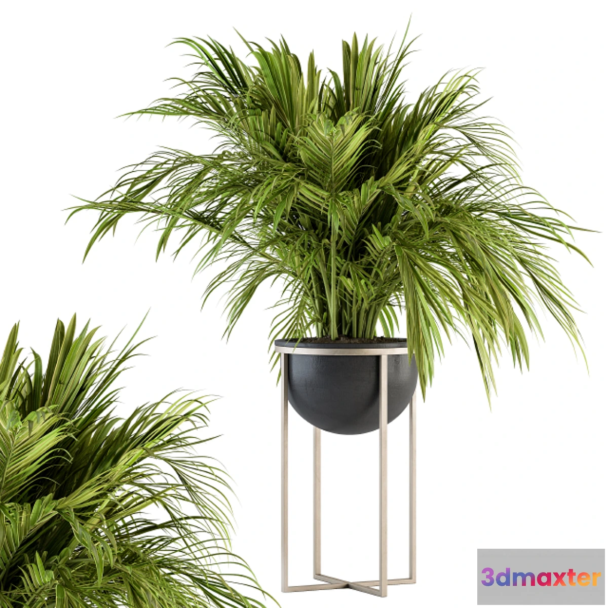 1324887 - indoor Plant Set 158 - Tropical Plant 3D Max