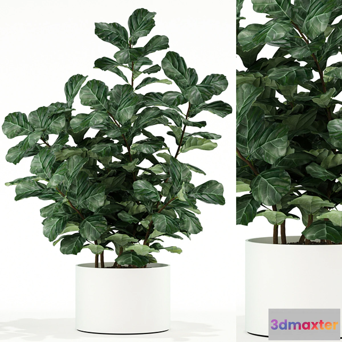 1324984 - Plants collection 98 3D Max