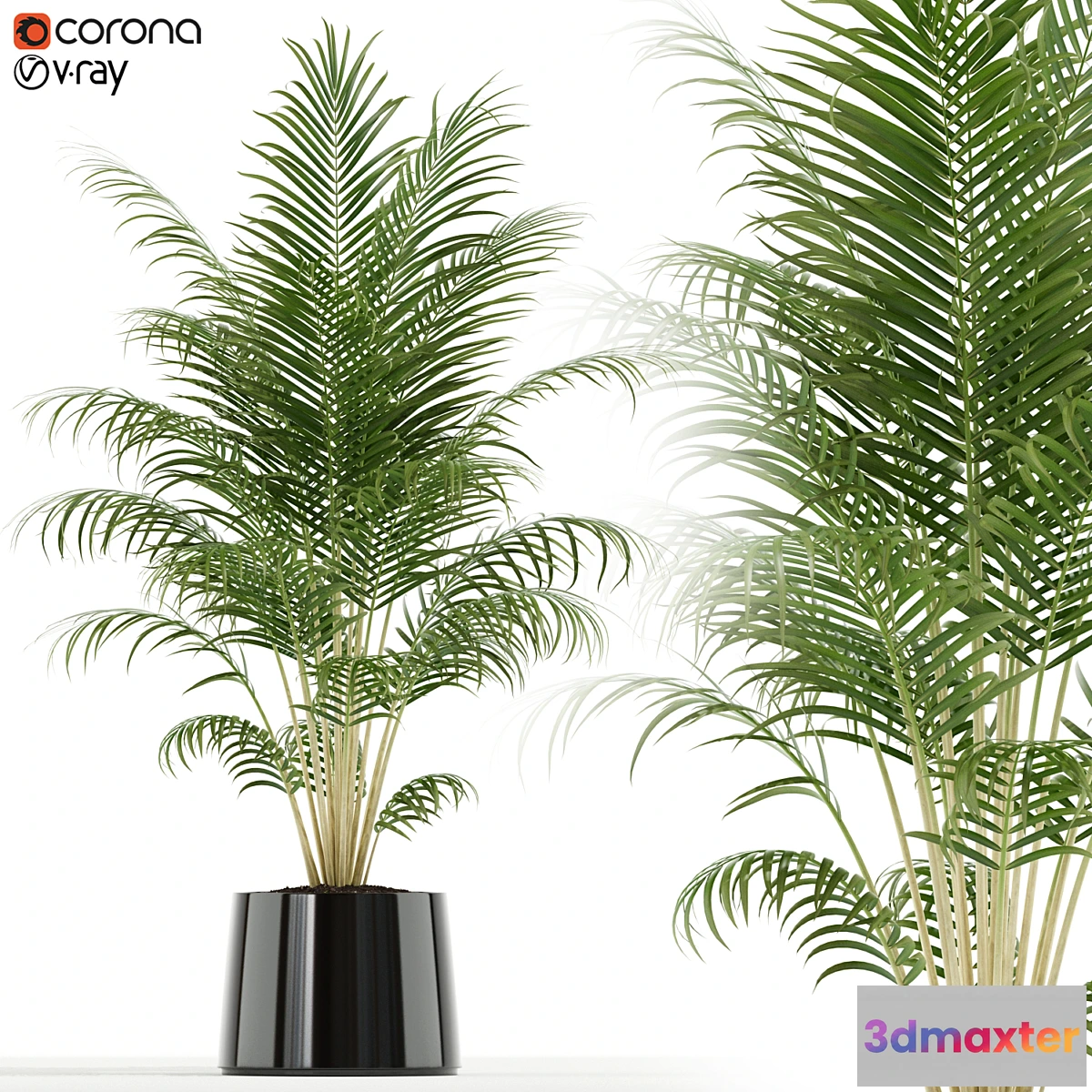 1325166 - Plants collection 148 3D Max