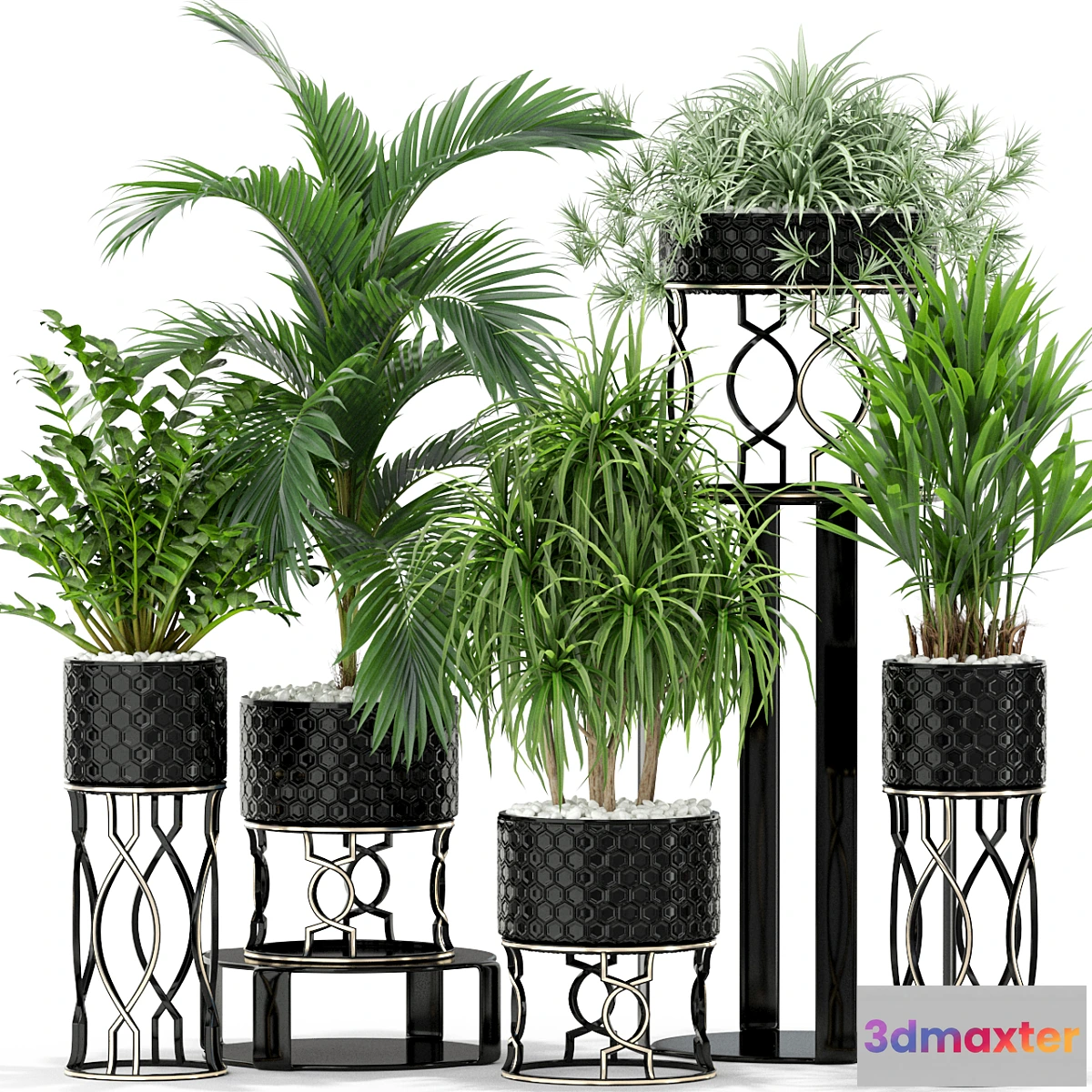 1325321 - Plants collection 367 3D Max