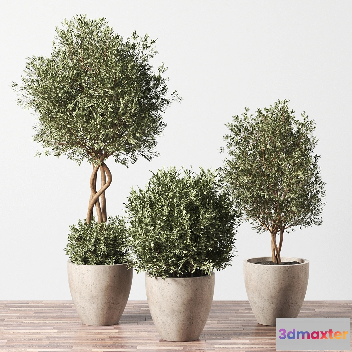 1325461 - Indoor Plant Set 01 3D Max